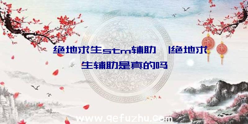 「绝地求生stm辅助」|绝地求生辅助是真的吗